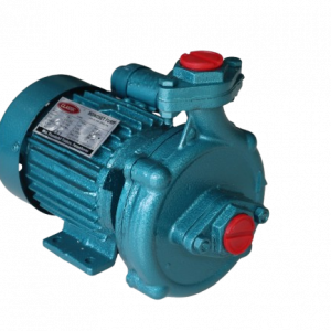 IMG 5739 Removebg Preview 1 300x300