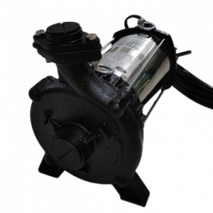 2 Removebg Preview 1 E1734409498557 300x300